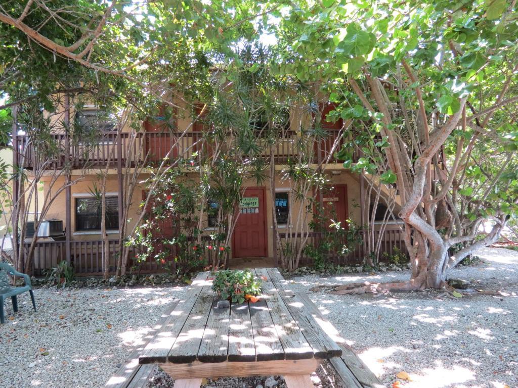 Ed & Ellen'S Lodgings Key Largo Motel Eksteriør billede
