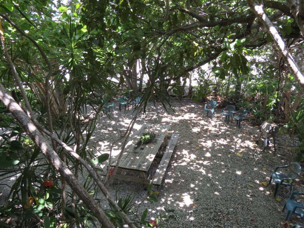 Ed & Ellen'S Lodgings Key Largo Motel Værelse billede