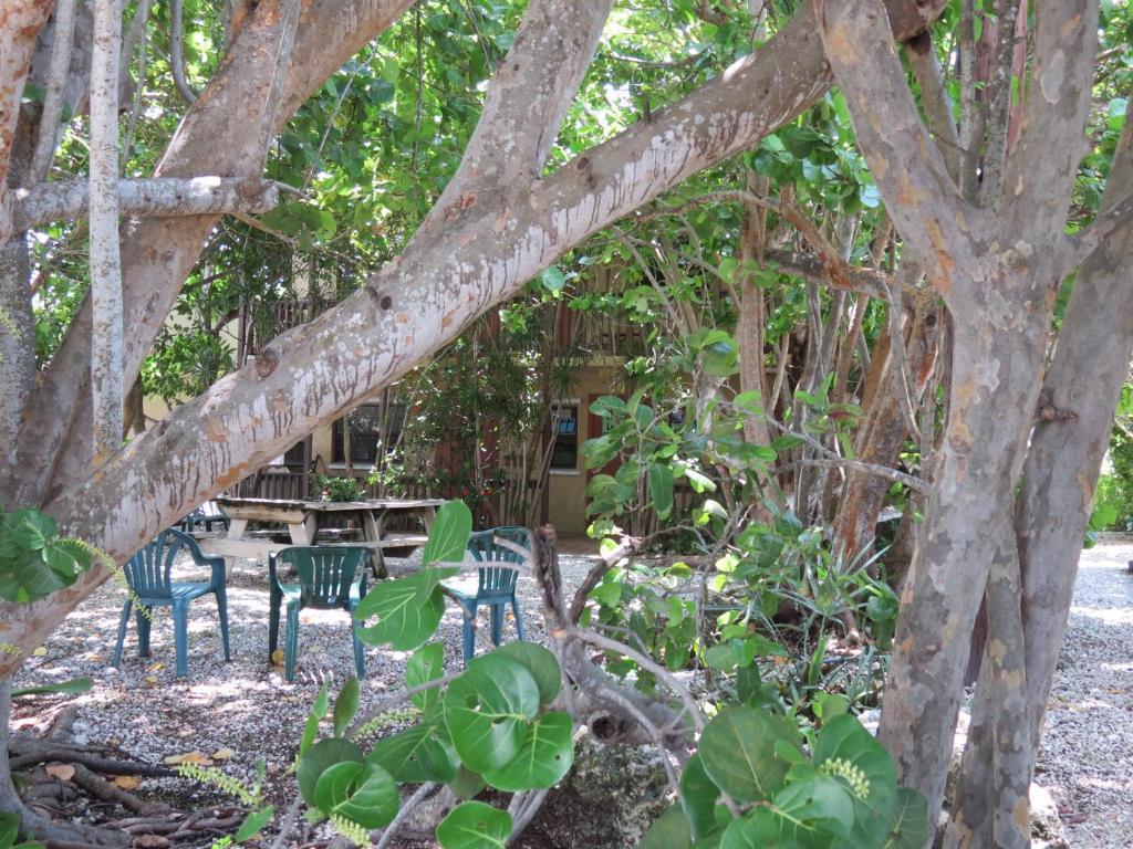 Ed & Ellen'S Lodgings Key Largo Motel Eksteriør billede