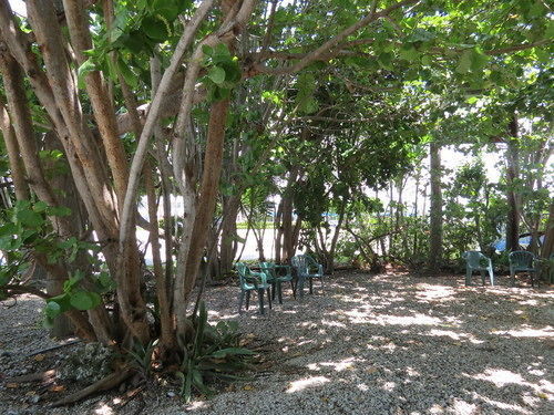 Ed & Ellen'S Lodgings Key Largo Motel Eksteriør billede