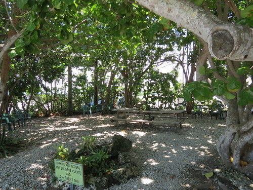 Ed & Ellen'S Lodgings Key Largo Motel Eksteriør billede