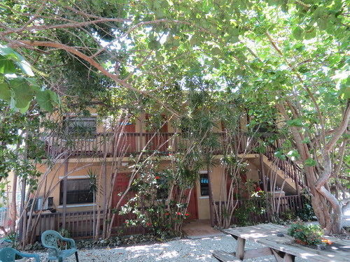 Ed & Ellen'S Lodgings Key Largo Motel Eksteriør billede