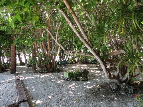 Ed & Ellen'S Lodgings Key Largo Motel Eksteriør billede