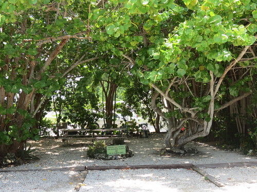 Ed & Ellen'S Lodgings Key Largo Motel Eksteriør billede